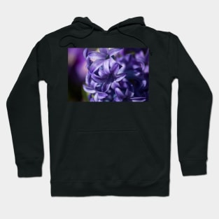 Say Hi Hyacinth Hoodie